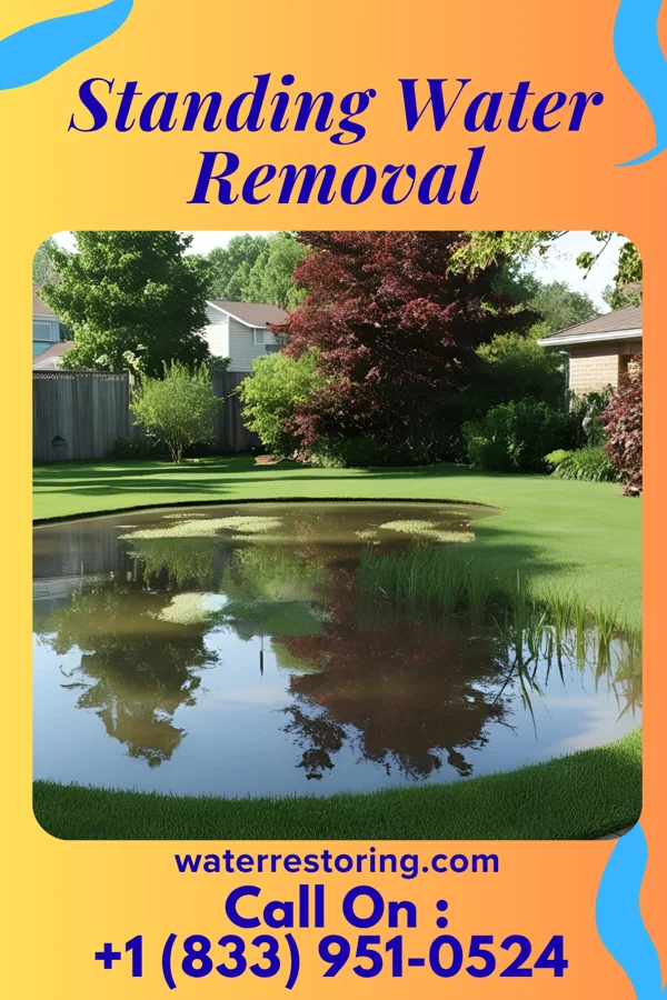 Standing Water Removal in Coleraine, MN